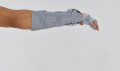 AM-OSN-L-01.gif