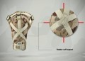 5-eng21-1024x741.jpg