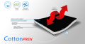 cottonpren-630x333.png